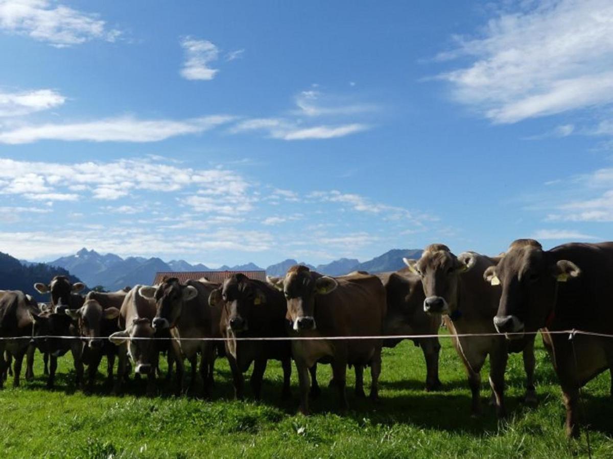 Hemerhof Oberstdorf Buitenkant foto
